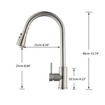 FANELLO Pull Out Kitchen Faucet