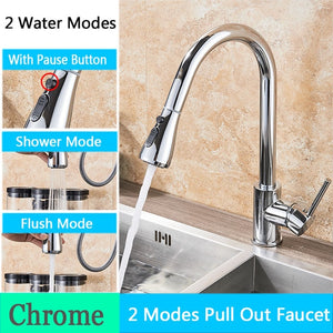 FANELLO Pull Out Kitchen Faucet