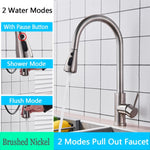 FANELLO Pull Out Kitchen Faucet