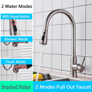 FANELLO Pull Out Kitchen Faucet