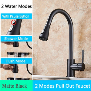 FANELLO Pull Out Kitchen Faucet