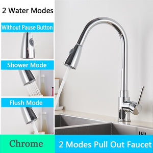 FANELLO Pull Out Kitchen Faucet