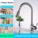 FANELLO Pull Out Kitchen Faucet