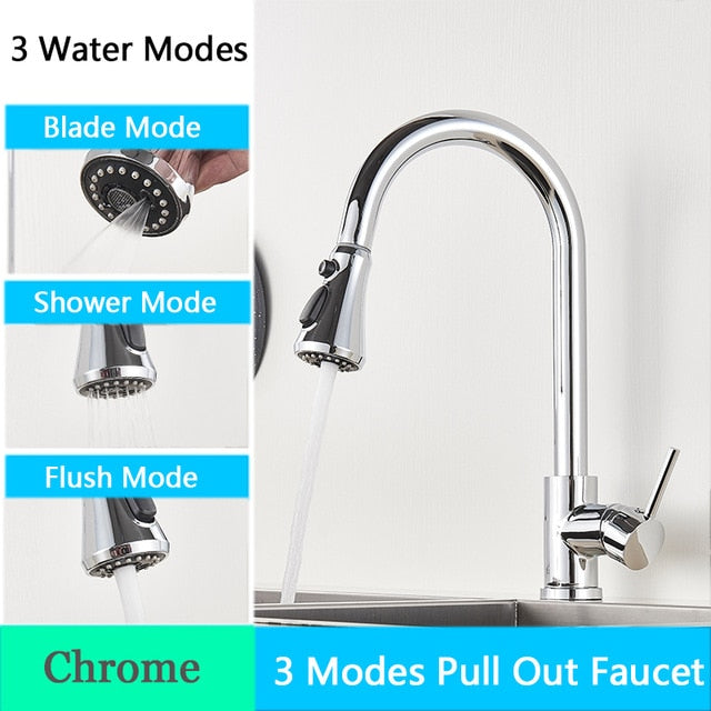 FANELLO Pull Out Kitchen Faucet