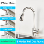 FANELLO Pull Out Kitchen Faucet