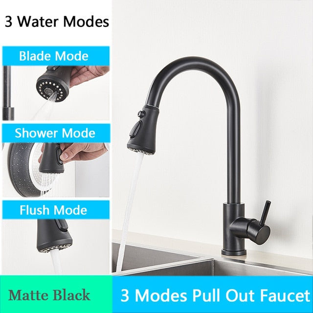 FANELLO Pull Out Kitchen Faucet