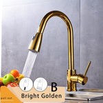 FANELLO Pull Out Kitchen Faucet